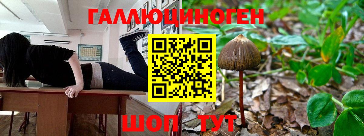 Галлюциногенные грибы Magic Shrooms  Вход с VPN  Галлюциногенные грибы прущие грибы  Семёнов 